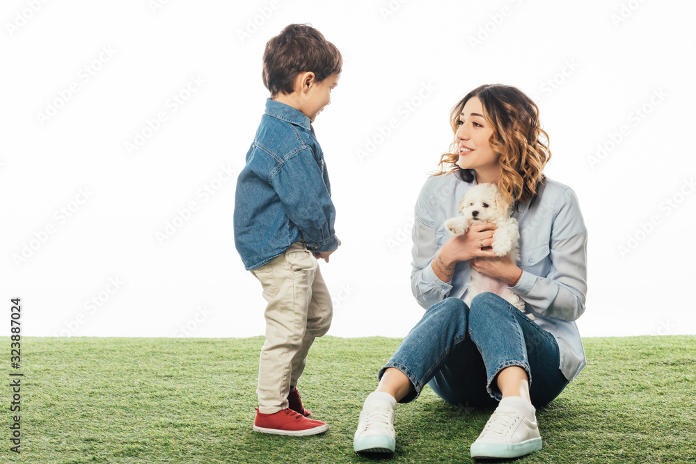 smiling mother holding Havanese puppy and looking at son isolated on white smiling mother holding Havanese puppy and looking at son isolated on white
