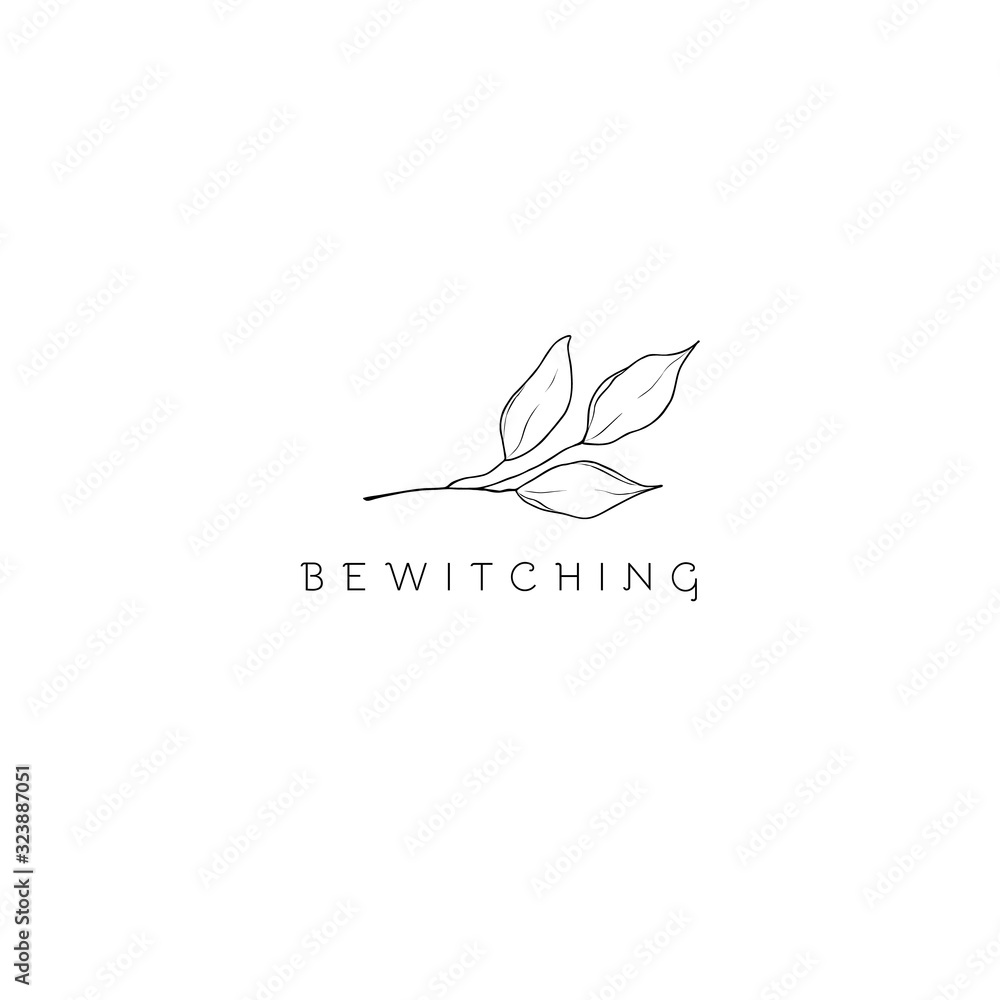 Leaf symbols, logos, icons and signs collection. Set of floral design elements. Leaf symbols, logos, icons and signs collection. Set of floral design elements.
