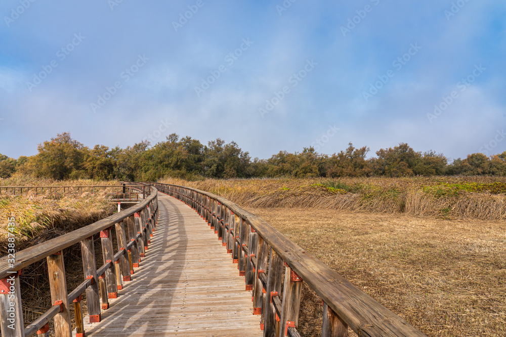 Tablas de Daimiel National Park, Castilla la Mancha, Spain