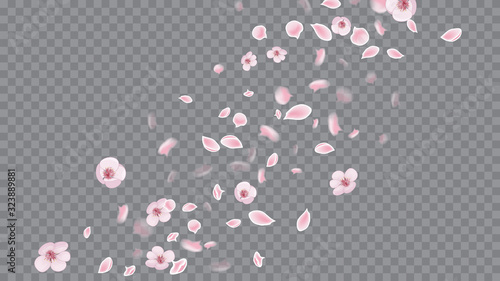Modern Abstract Ribbon. Flying Petals In Realistic Style. Colorful Poster On Soft Transparent Background. Rose on Transparent.