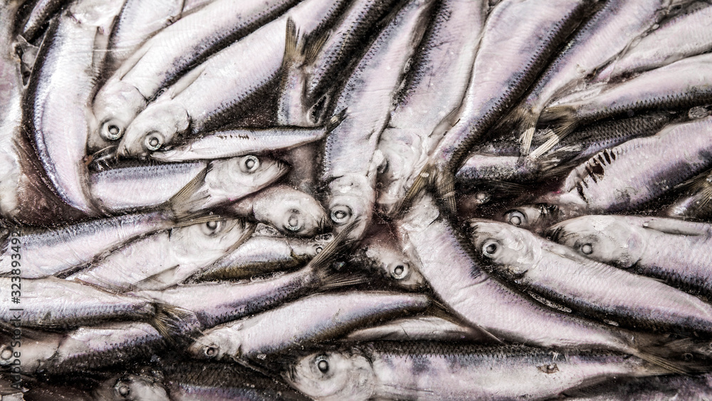 Close-up of frozen sprat in fish market. Winter fishing. Small silver fish production. Close-up of frozen sprat in fish market. Winter fishing. Small silver fish production.