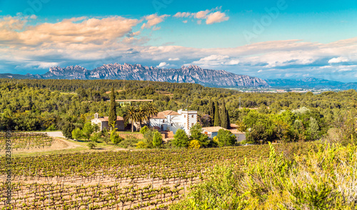 A cellar at Penedes wine region with Montserrat mountains in the distance. Catalonia, Spain. photo