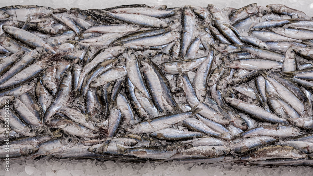 Close-up of sprat brick on the ice in fish market. Winter fishing. Frozen small silver fish. Pieces of ice. Close-up of sprat brick on the ice in fish market. Winter fishing. Frozen small silver fish. Pieces of ice.