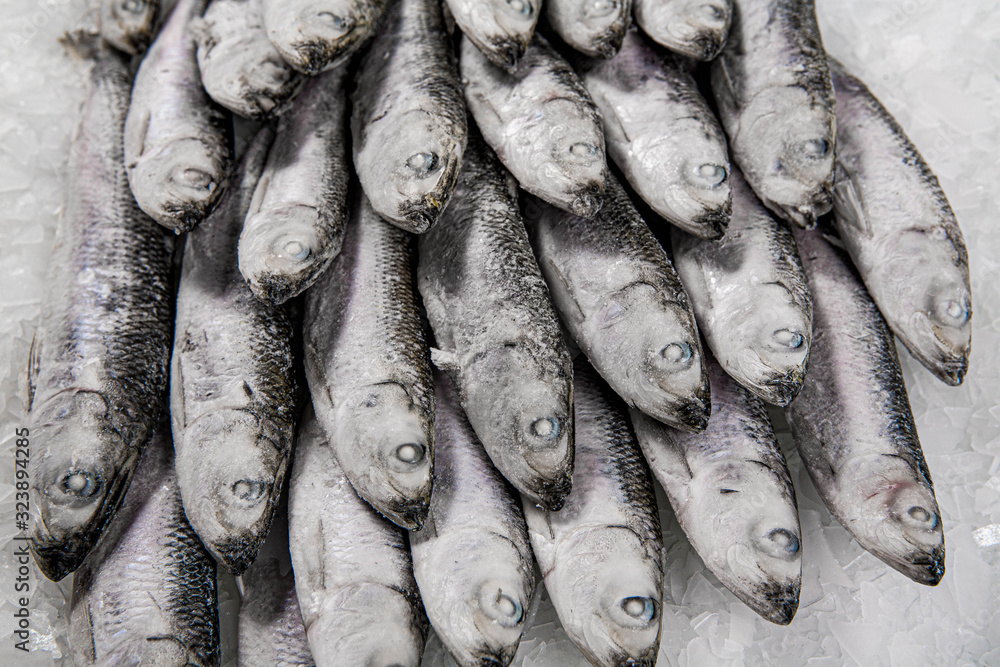 Obraz premium Close-up of fresh sprat on the ice in fish market. Winter fishing. Small silver fish production.