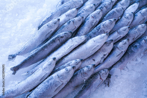 Close-up of fresh sprat on the ice in fish market. Winter fishing. Small silver fish. Blue light.