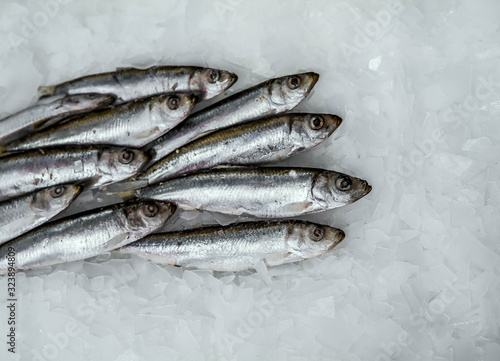 Frozen fish. Small silver sprat in the market. Pieces of ice. Close-up. Winter fishing.