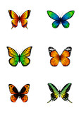 Various cartoon butterflies. 