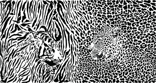 Tiger and Leopard and pattern background
