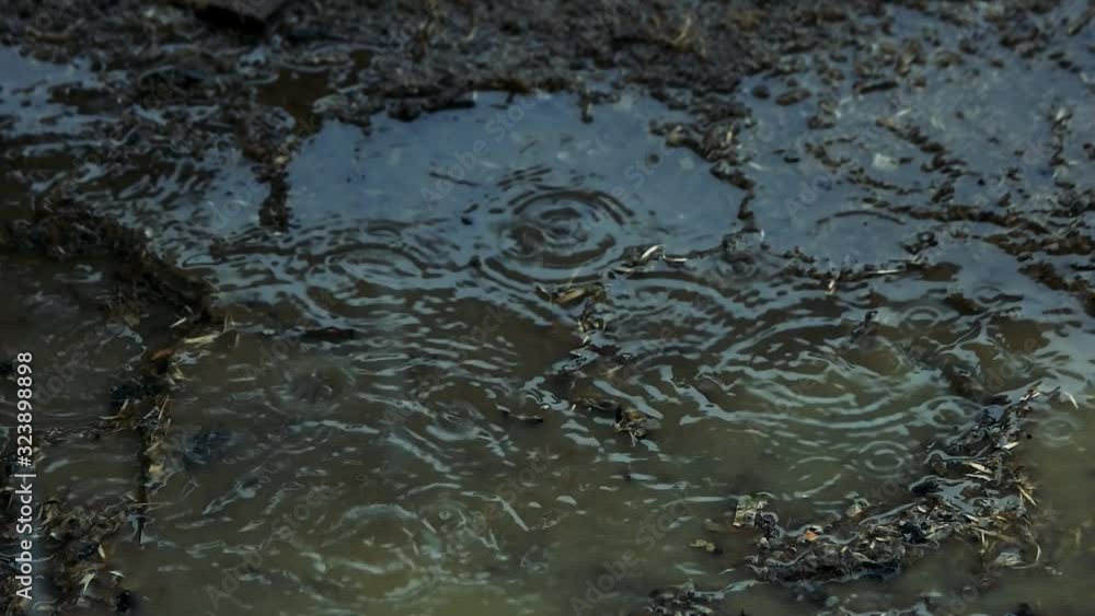Muddy ground puddle with raindrops. Close up, slow motion. Muddy ground puddle with raindrops. Close up, slow motion.
