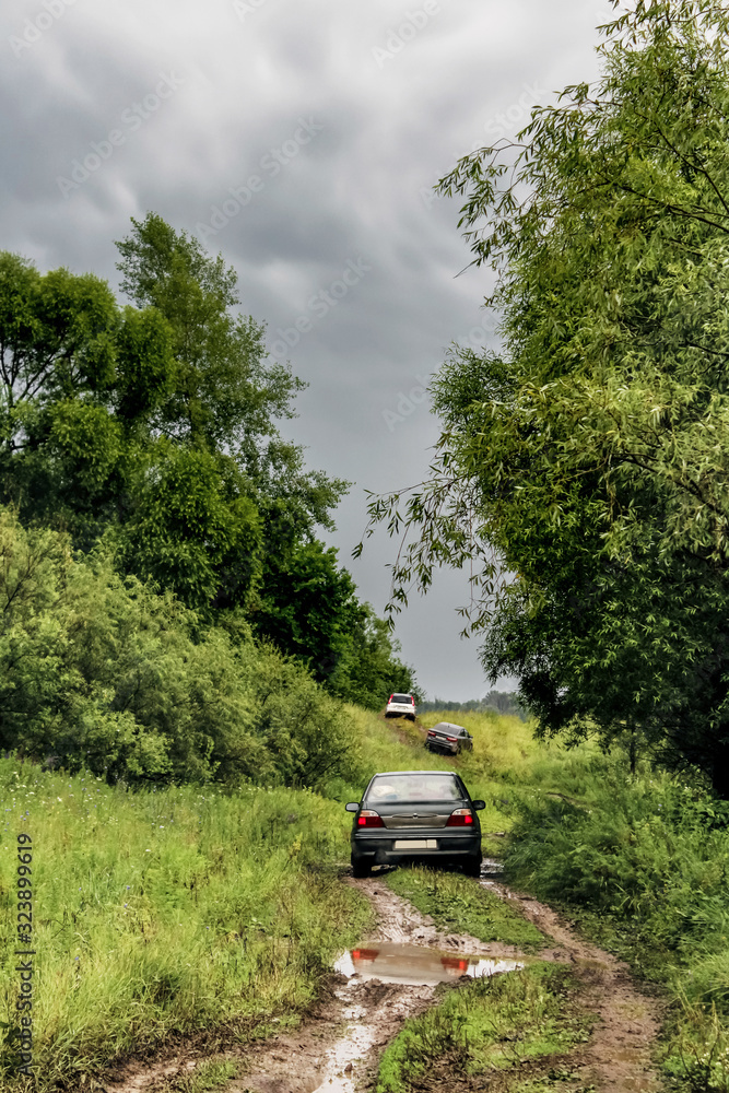 Cars drive along a dirty forest road after rain against the backdrop of a summer landscape