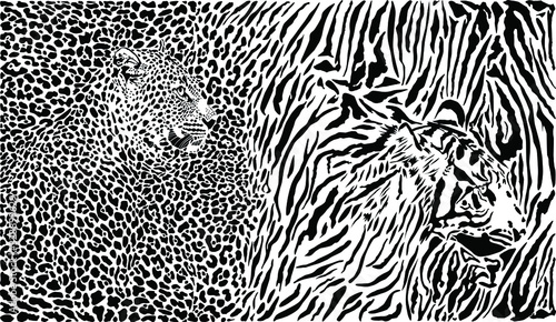 Leopard and tiger and pattern background