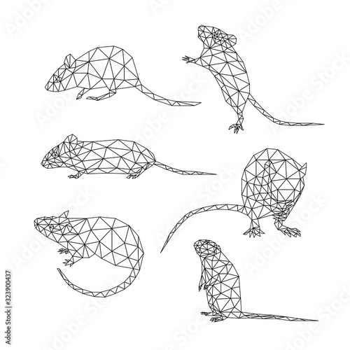 Vector set of isolated mice in different poses on a white background. Polygonal illustration of the symbol of the New Year 2020. Mouse, rat, rodent, pest in a low poly style.