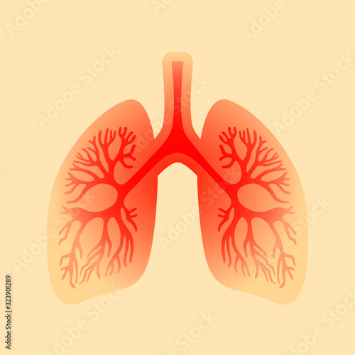 Lungs inflammation vector icon