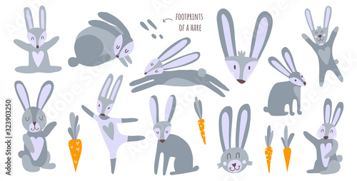 Cute hares, rabbits and carrots in a collection of cute animals. Easter illustrations for the holiday, everlasting awakening of nature, wild animals of the forest. Printing on children's textiles