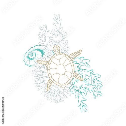 Marine art line design, vector sea turtle in mosaic style, sketch corals and starfish. Ocean and sea water life, tropical paradise and nautical line drawing composition in gold and turquoise color