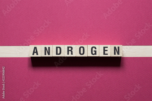 Androgen Word Written In Wooden Cube