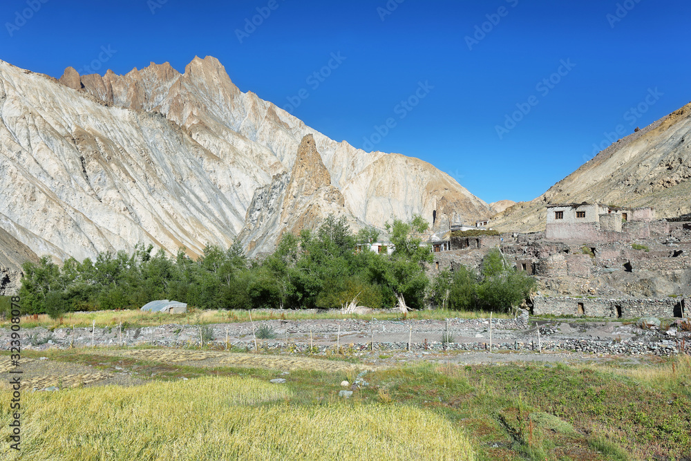 Ancient village along the Markha valley trek. Ladakh, India