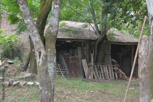 Casa antigua  bosque