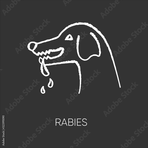Rabies chalk white icon on black background. Dangerous viral disease, contagious central nervous system infection. Rabid dog, aggressive animal isolated vector chalkboard illustration