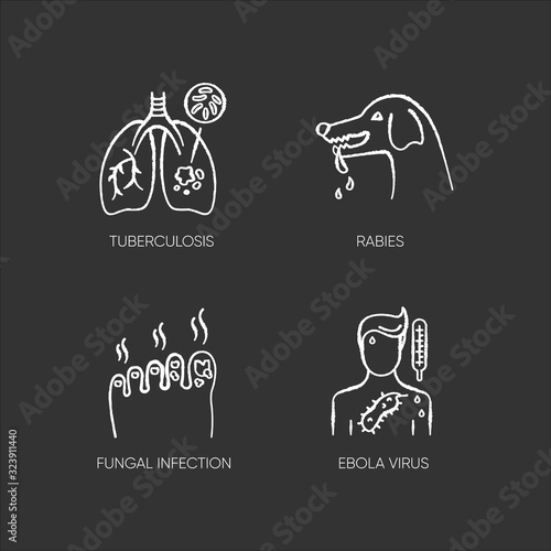 Viral and infectious diseases chalk white icons set on black background. Tuberculosis, rabies, fungal infection and ebola virus. Dangerous illnesses isolated vector chalkboard illustration