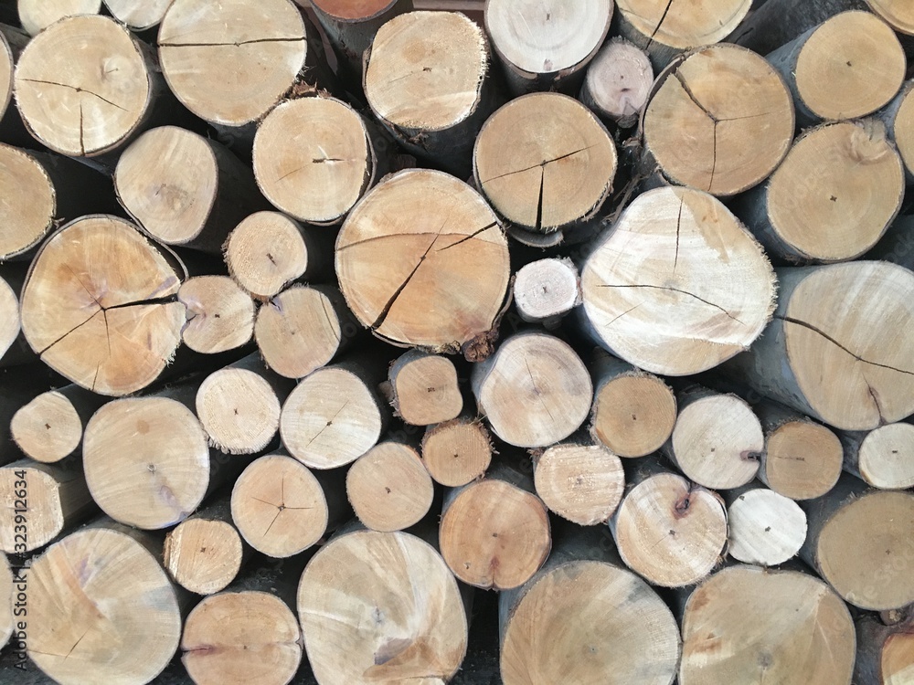 Fototapeta premium Surfaces of cut trees on the wall 