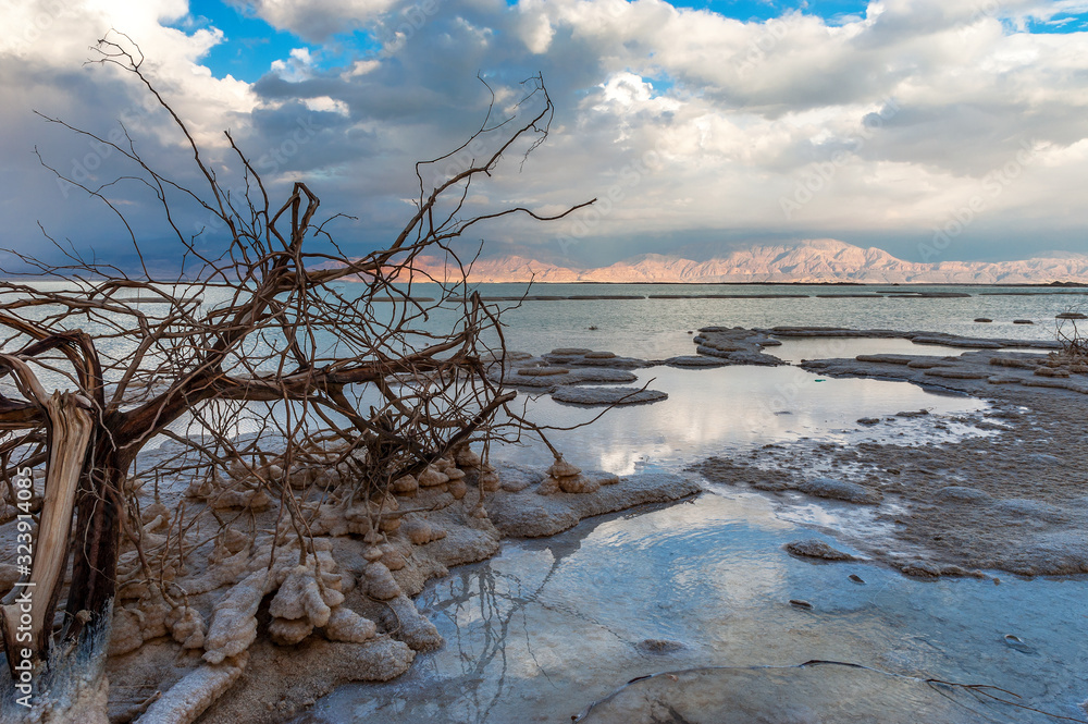 Magic salt shapes of the Dead Sea resort, Israel Magic salt shapes of the Dead Sea resort, Israel