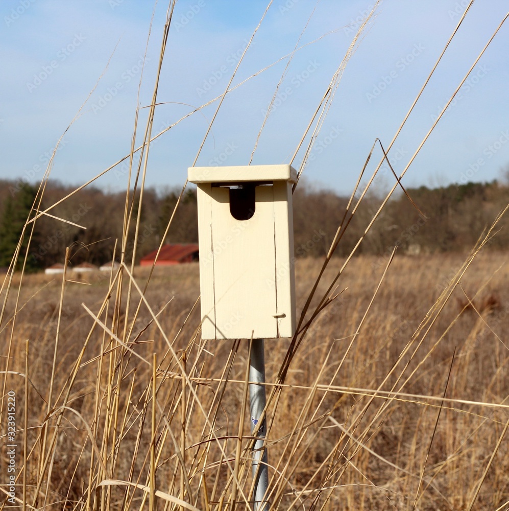 A close view of the old wood birdhouse in the field.