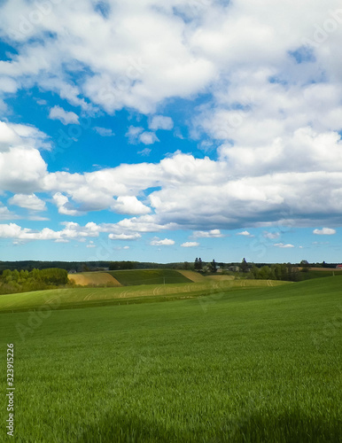 Nature landscape of green field in Kashubian village. Nature and agriculture concept.