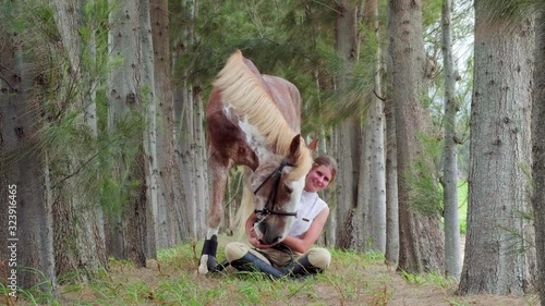 Horse and woman relationship, cuddle in the wood photo