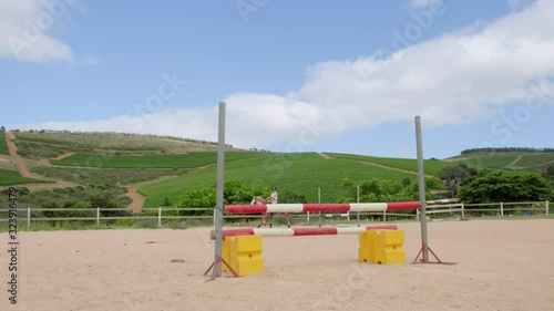 Wallpaper Mural Horse gallop, hurdle jumping on parade Torontodigital.ca