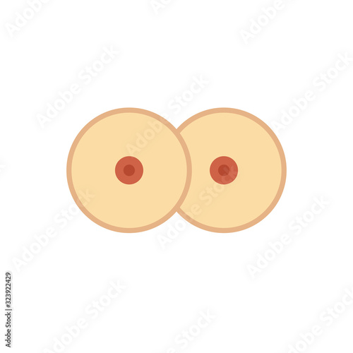 female breast flat icon, vector illustration