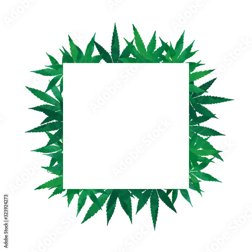 Cannabis green leaves silhouettes frame on whie background © Julia