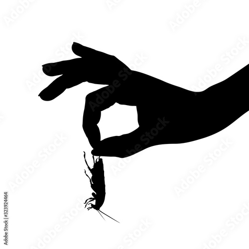 Vector silhouette of hand who catch cockroach on white background. Symbol of annoying insect.