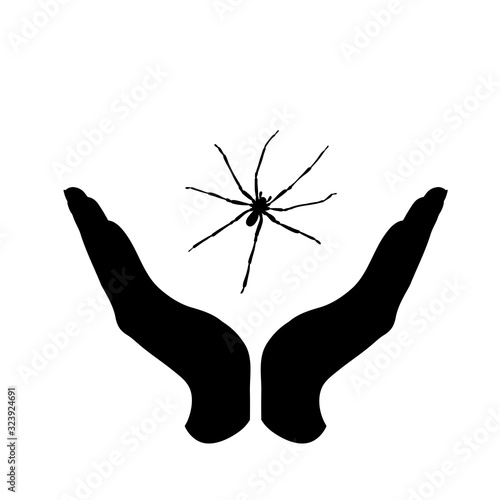 Vector silhouette of a hand in a defensive gesture protecting a spider. Symbol of care of insect and nature.