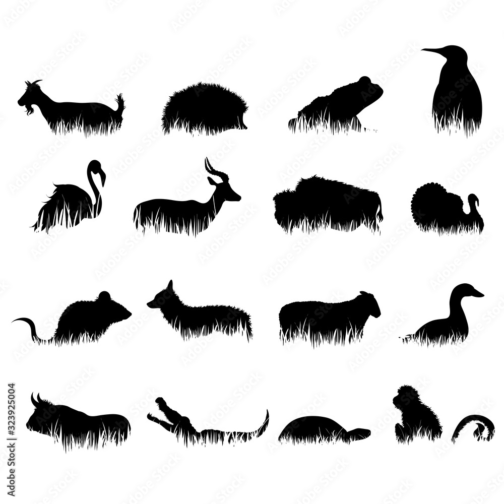 Obraz premium Vector silhouette of collection of animal in the grass on white background. Symbol of nature.