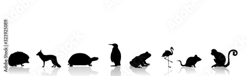 Vector silhouette of collection of wild animals on white background. Symbol o...