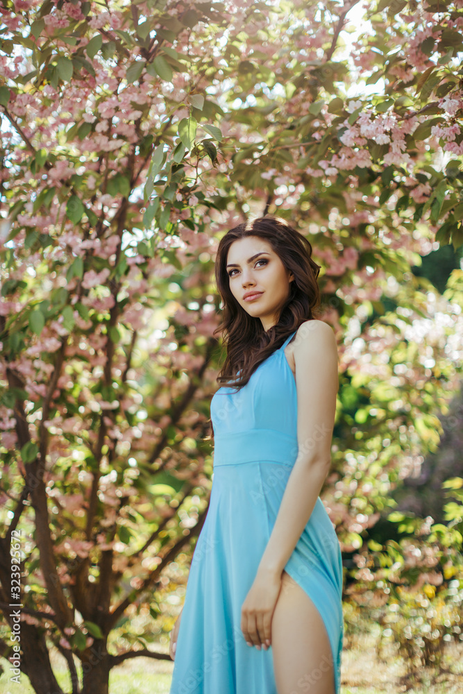Woman at Blossoming Sakura Tree on Nature Woman at Blossoming Sakura Tree on Nature