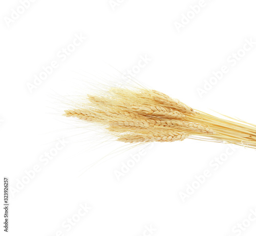 Wheat ears isolated on white background