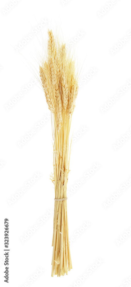 Fototapeta premium Wheat ears isolated on white background