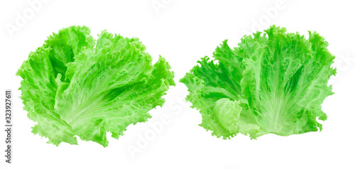 Fresh lettuce isolated on a white background