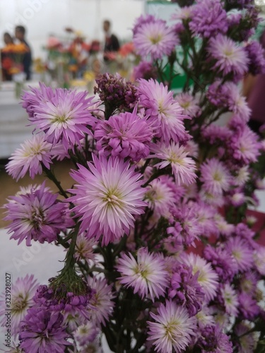 bouquet of daisy flowers