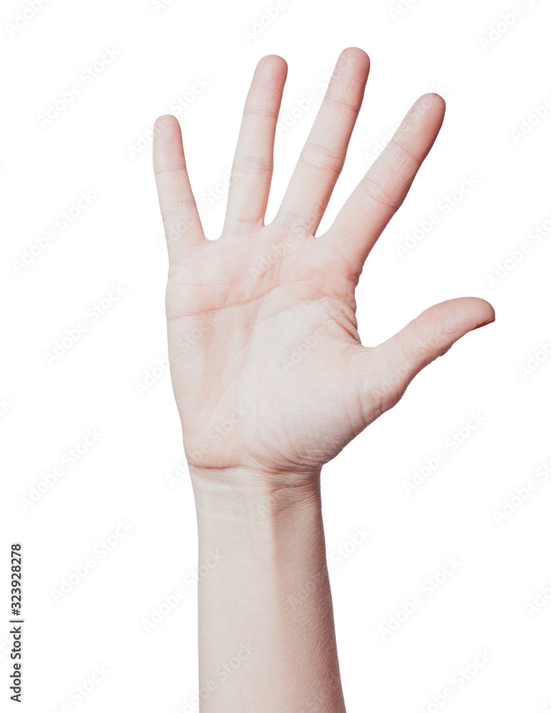 Hand spelling number 5 in American Sign Language on white background