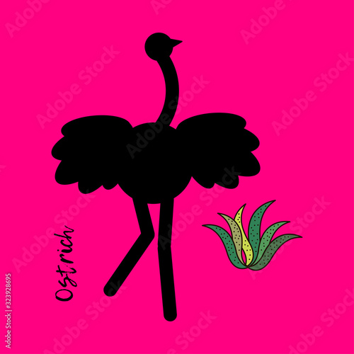 Ostrich bird. Cute cartoon. Vector illustration for web design or print. photo