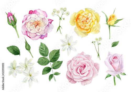 Set of watercolor flower elements: different flower heads of roses, buds, leaves and white flowers © Irina Violet
