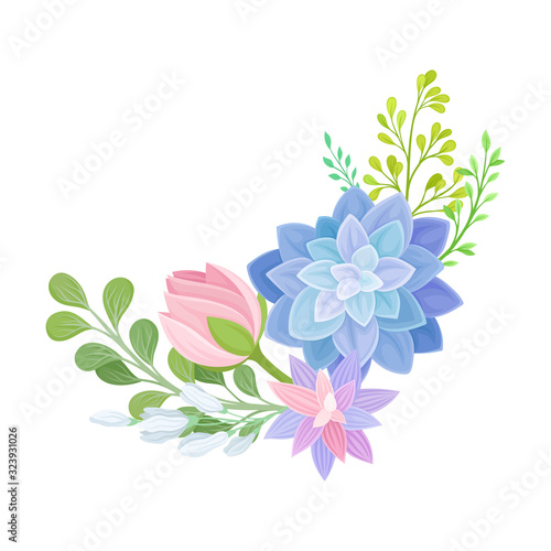 Floral Composition of Tender Colorful Succulent Plant Arranged with Botanical Twigs Vector Illustration © Happypictures