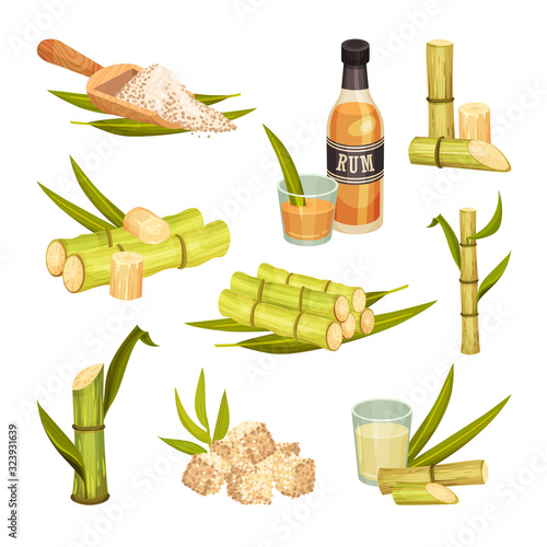 Sugar Cane Unbranched Stems with Leaves and Superfood like Brown Granulated Sugar Vector Set