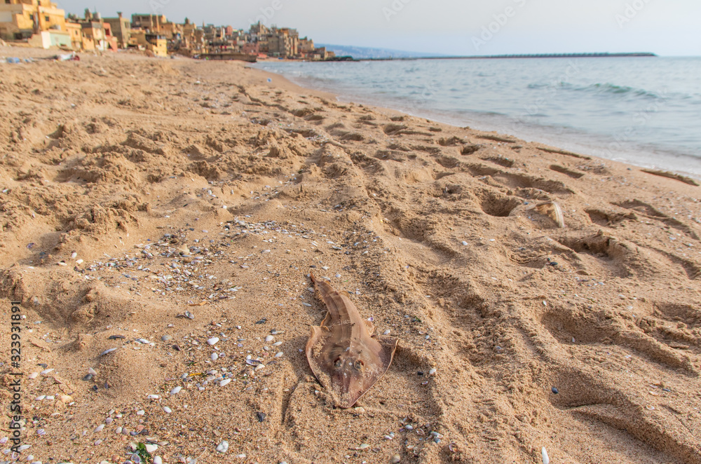 Beirut, Lebanon - once a popular bathing spot, the Saint Simon beach today is a pretty messy district with rundown buildings and trash all over. Still it can dispay beautiful views Beirut, Lebanon - once a popular bathing spot, the Saint Simon beach today is a pretty messy district with rundown buildings and trash all over. Still it can dispay beautiful views