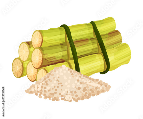 Sugar Cane Strong Unbranched Stems Cut and Corded with Pile of Refined Sugar Rested Nearby Vector Illustration