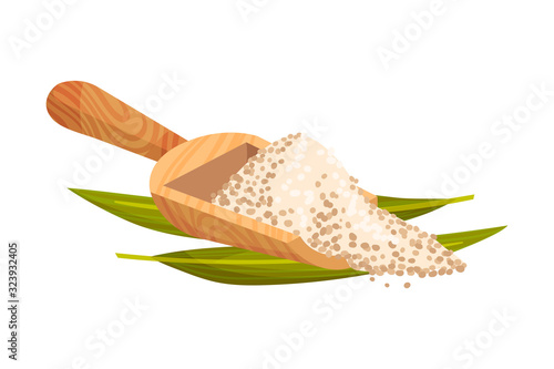 Refined Brown Sugar Rested in Wooden Spoon with Sugarcane Leaf Vector Illustration