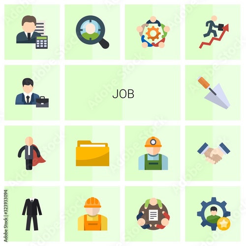 14 job flat icons set isolated on white background. Icons set with professional, business hero, Folder, trowel, Accountant, Target Audience, teamwork, career growth, suit icons.